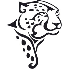 Leopard Leopard