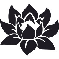 Lotus Flower Lotus Flower