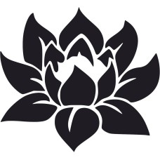 Lotus Flower