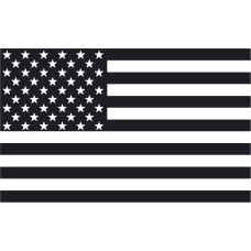 US Flag Straight US Flag Straight